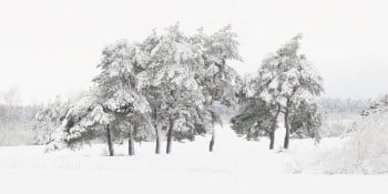 Winter Poetry #1