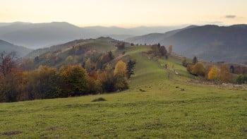 Meadows of Dreams