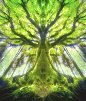 The tree of life1