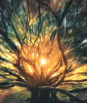 The tree of light