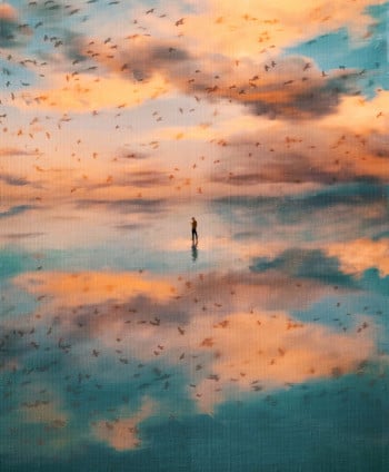 Paradise birds