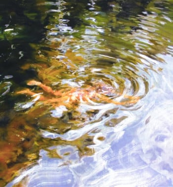 Waterpersonhood