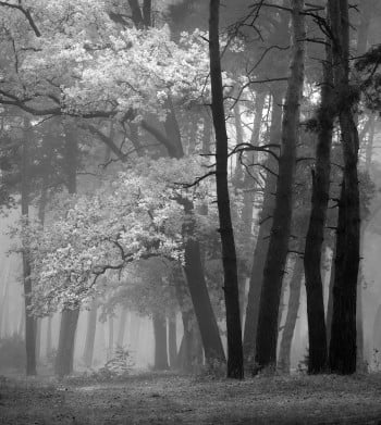 Once Upon A Time B&W