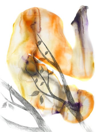 Forest Creatures #59