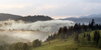 Evening Meadows