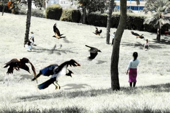 Perfect Day - Childhood