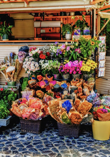 Lisbon Portugal Street Flower Mart and It’s Colors