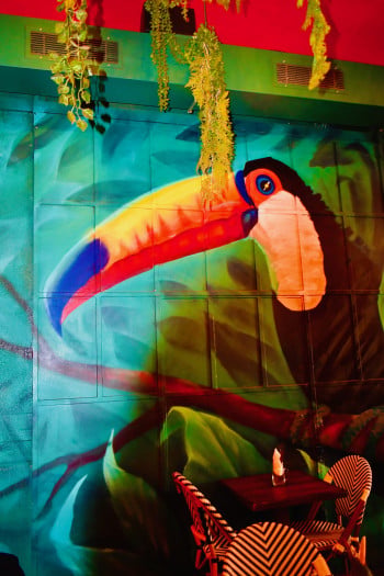 An Image of a Painted Toucan Bird in The Jungle Room Club