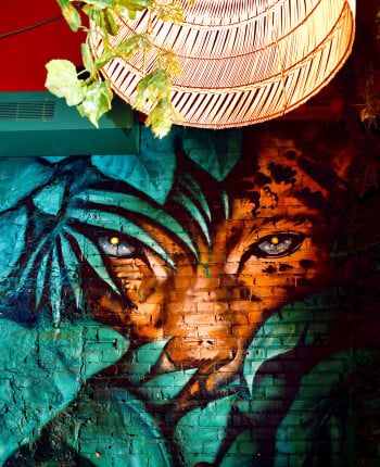 Painted Wall Mural Interior of The Jungle Club