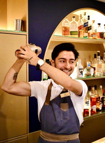 Our Favorite Bartender Shaking a Classic Cocktail using his own Stylish Movement