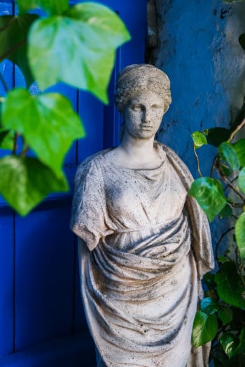 The Garden Muse