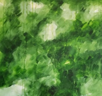 Rain forest II