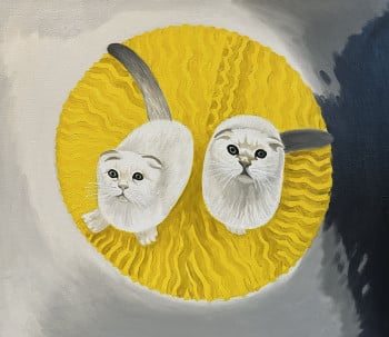 Dizzy twins