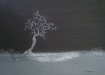 Lone tree