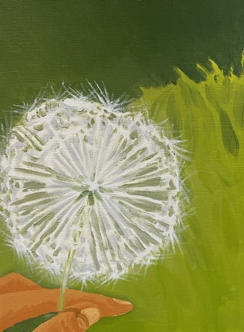 Dandelion