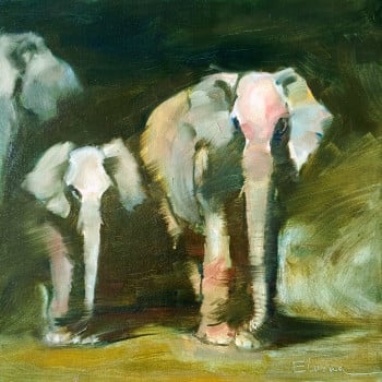 Night elephants