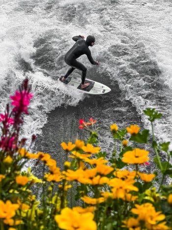 Surfing Through Spring