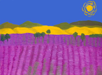Lavender field