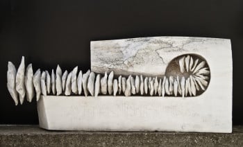 Peels - 8