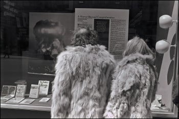 New York Horror 1982