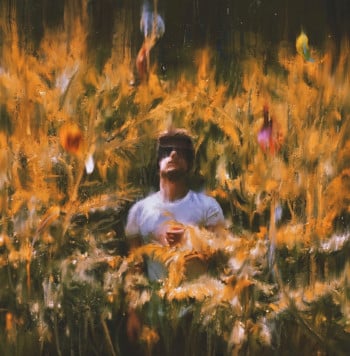Fake dreams