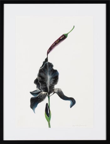 Dark Bloom