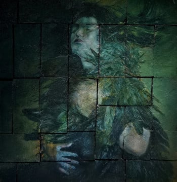 Iris Shelter