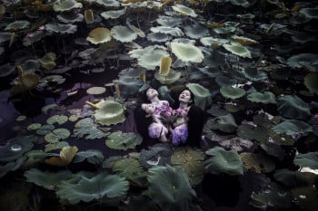 The Lotus Lake IV