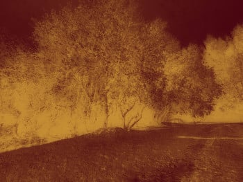 Echoes in Gold IV
