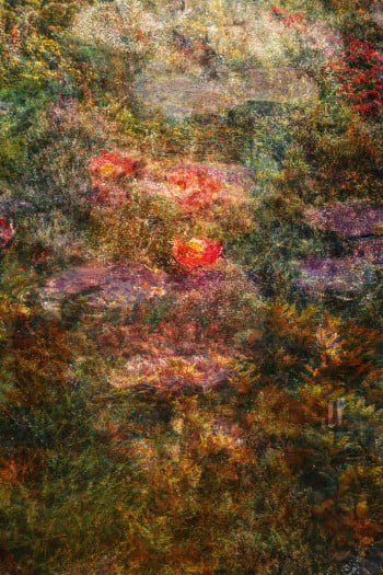 Wall of Nature LXX