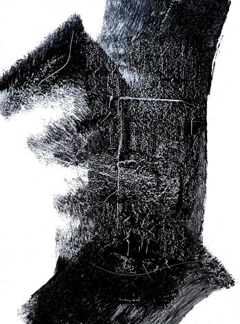 Totem commands attention through its dramatic contrast and textural complexity