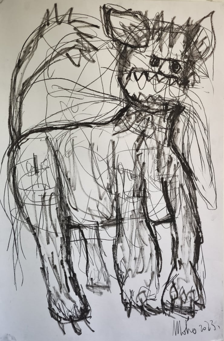 Moho Drissi