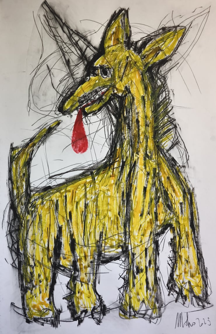 Moho Drissi