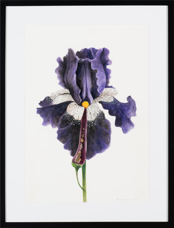 Dark Bloom