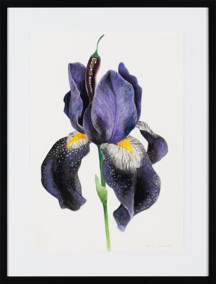 Dark bloom