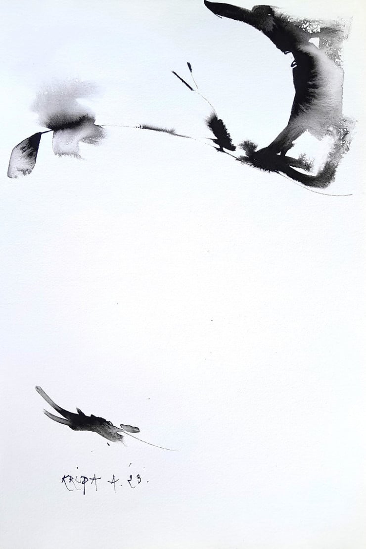 Alfred Freddy Krupa