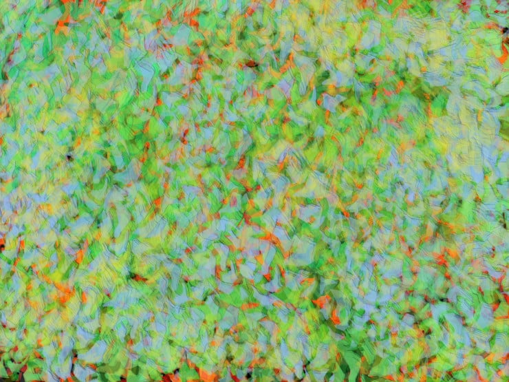 Birdsong