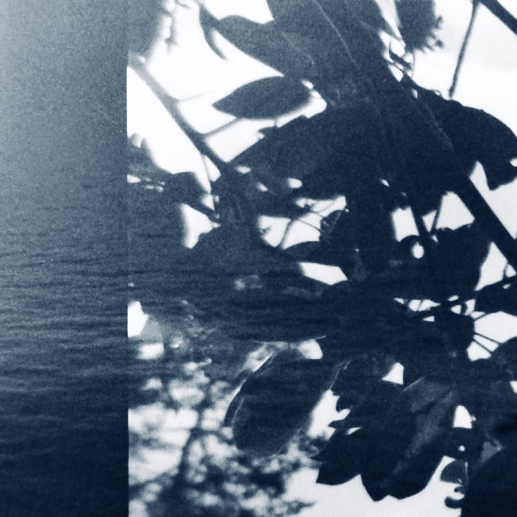 Daemons of Place, San Juan Island