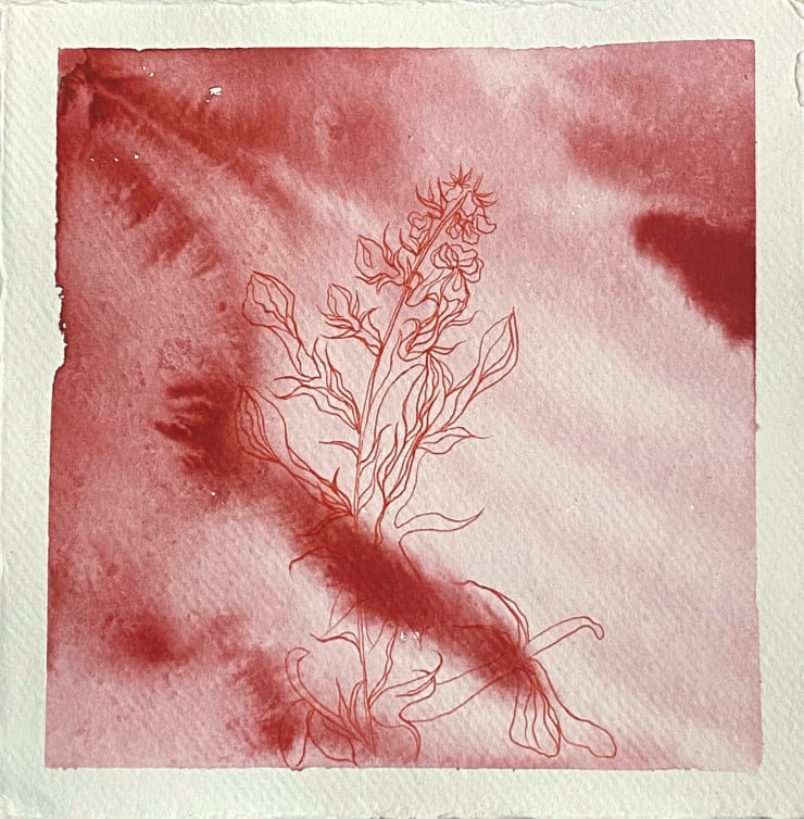 Laura Partin