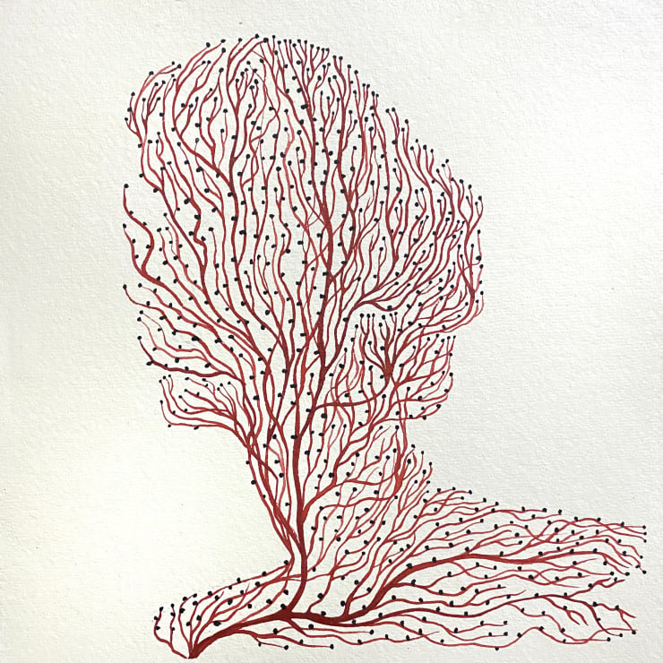 Laura Partin