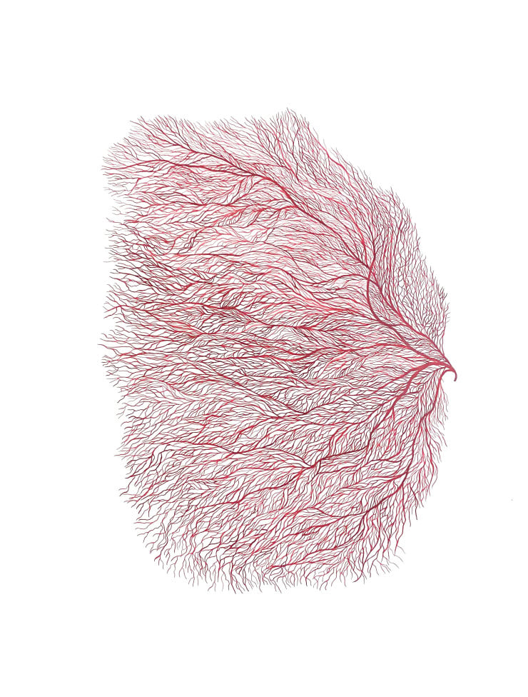 Laura Partin