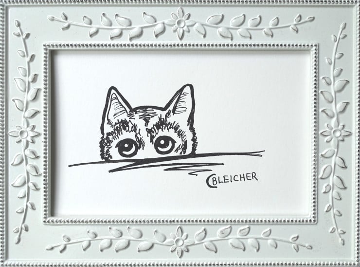 Chris Bleicher