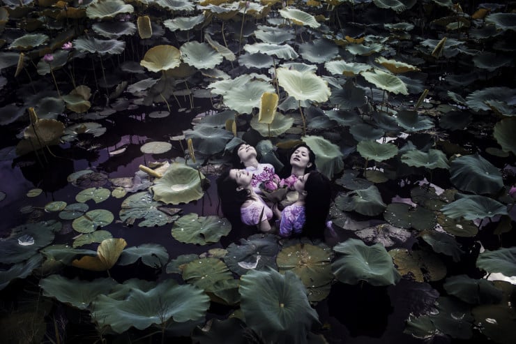 Viet Ha Tran