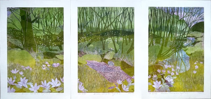 Anemonen-Wald bei Urke – Tryptichon -V/E XV/XVI
