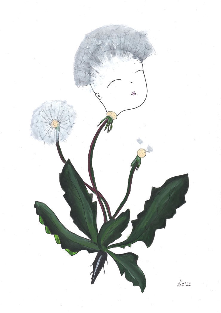 Soffione - Dandelion