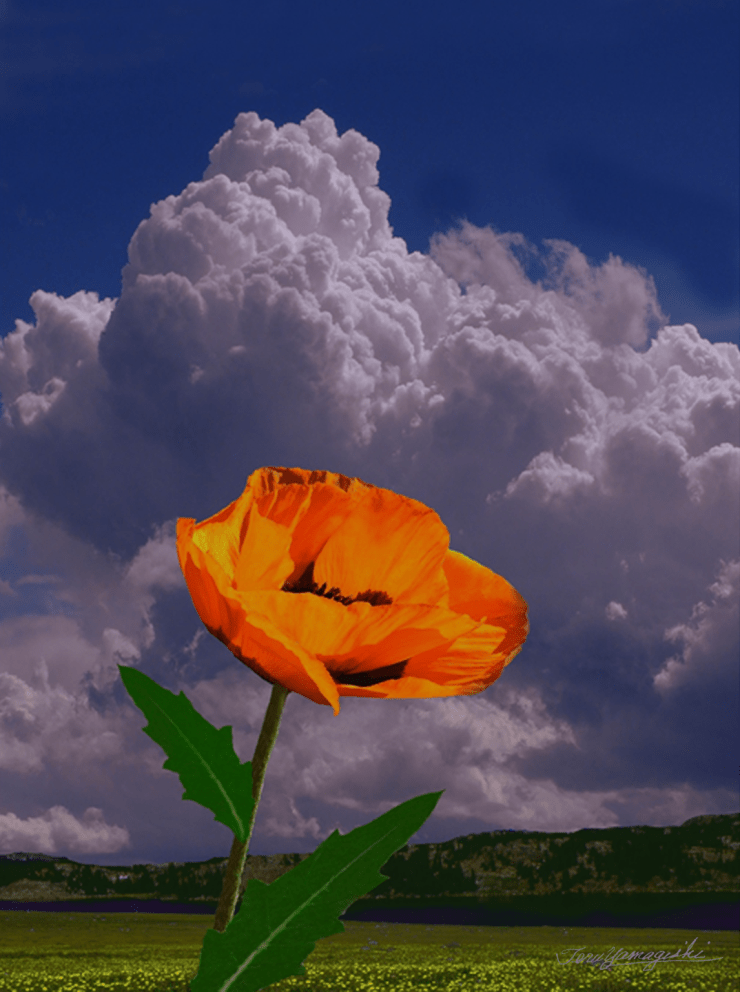 Title: "Summer Days"